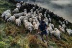 Photographier le patrimoine vivant en France 2024 : les résultats